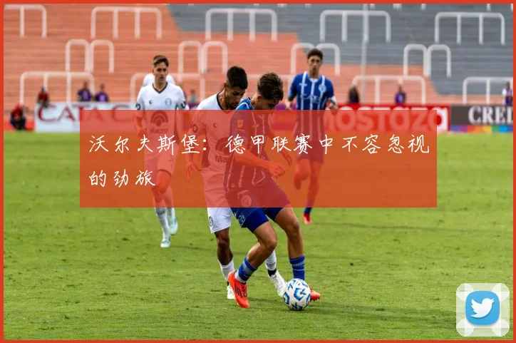 沃尔夫斯堡：德甲联赛中不容忽视的劲旅